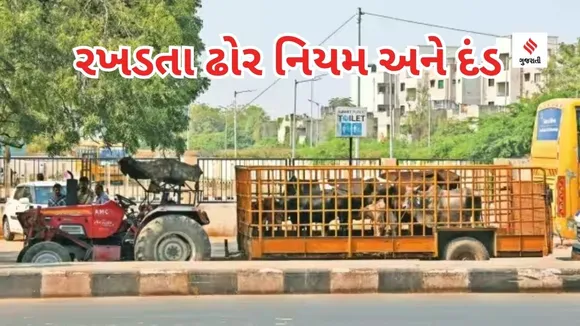 Stray Sattle rules | Gujarat Government Stray Cattle Guidelines | Gujarat Government | Stray Cattle Guidelines | Cow Stray | Cow on Road
