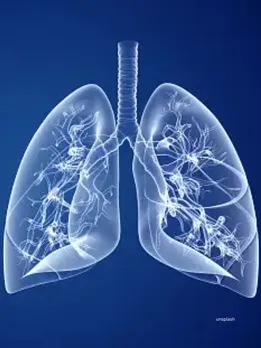 Know the health benefits of doing Kapalbhati : (Source : unsplash)