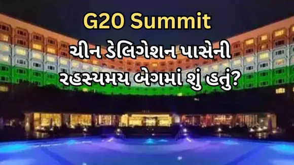 G20 Summit | Chinese Mysterious Bags