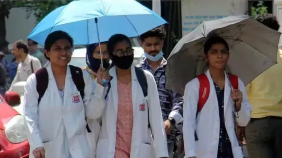 MBBS students | google news | Education news | Gujarati news