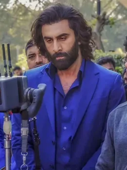 Upcoming Movie| Jawan | TIger 3| Pushpa 2| Shah Rukh Khan| Salman Khan