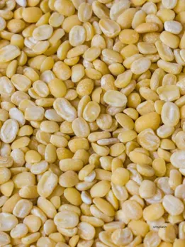 moong dal health benefits lifestyle news gujarati news (unsplash)