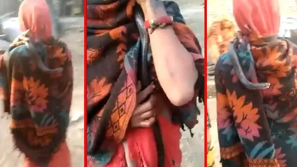snake | trending news | Rajasthan News | Snake And Woman Viral Video | Viral Video