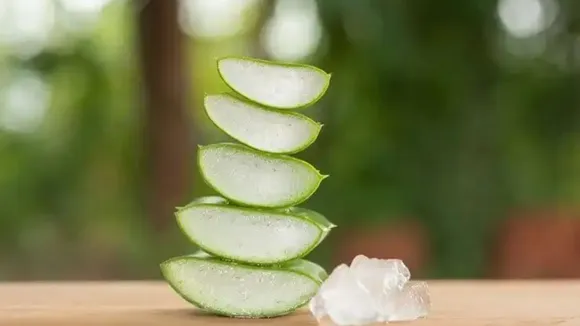 Beauty Tips Makeup Tips skincare tips gujarati news