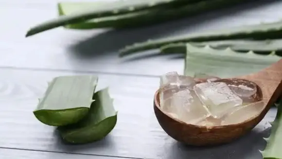 Beauty Tips Makeup Tips skincare tips gujarati news