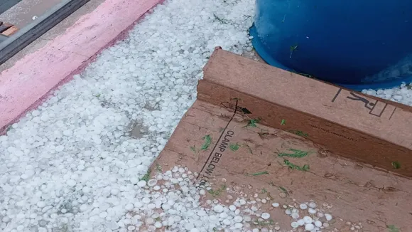 Gujarat Unseasonal rain | gujarat snowfalls | Gujarat weather | IMD forecast