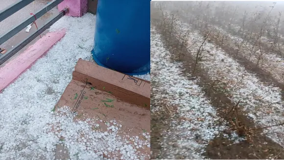 Gujarat Unseasonal rain | gujarat snowfalls | Gujarat weather | IMD forecast