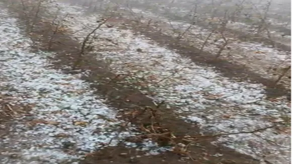 Gujarat Unseasonal rain | gujarat snowfalls | Gujarat weather | IMD forecast