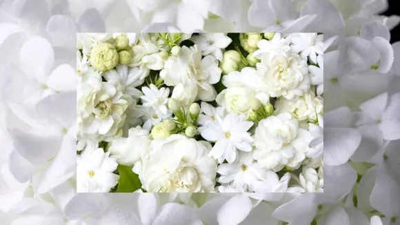 Festival Skincare Tips: