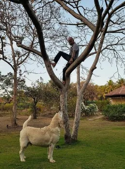 anushka sharma movie