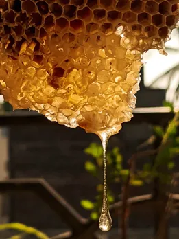 health benefits of honey