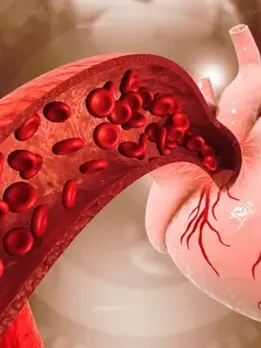 Cashew Nut Health Benefits Effects on Cholesterol Heart Diseases health tips gujarati news