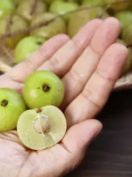 Foods for glowing skin anti aging diet for skin beauty tips gujarati news