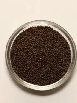 Foods for glowing skin anti aging diet for skin beauty tips gujarati news