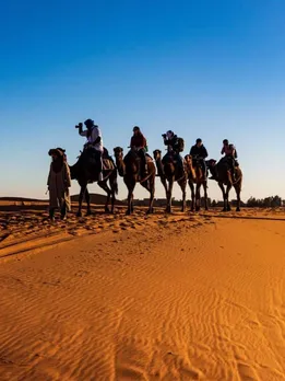 rajasthan best places to visit in january 2024 new year gujarati news