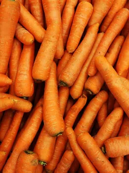 carrot Benefits for Weight loss tips winter diet diabetes health tips gujarati news