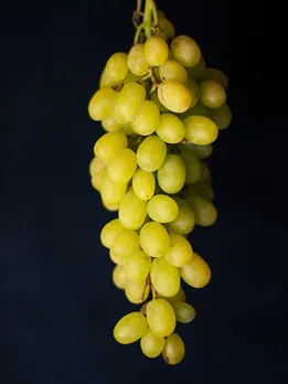 Health benefits of Grapes health tips gujarati news