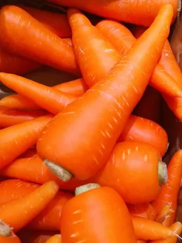 carrot Benefits for Weight loss tips winter diet diabetes health tips gujarati news