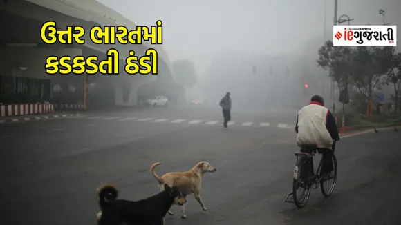 Today Weather | આજનું હવામાન : નલિયામાં ઠંડીનો પારો 5 ડિગ્રી જેટલો ઉચકાયો, ઉત્તર ભારત ધુમ્મસના લપેટામાં