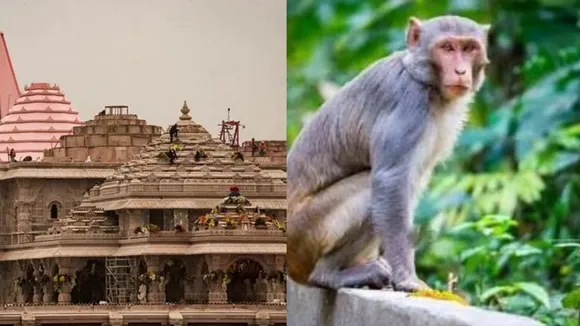 Ram temple role monkeys