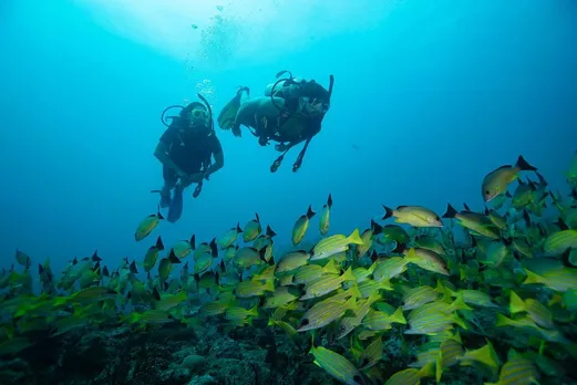 sonakshi sinha zaheer iqbal vacation in Andaman photos gujarati news