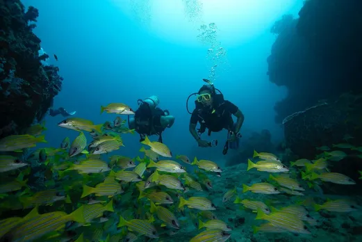 sonakshi sinha zaheer iqbal vacation in Andaman photos gujarati news