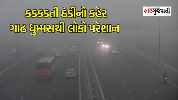 North India weather, today weather updates, Gujarat winter updates