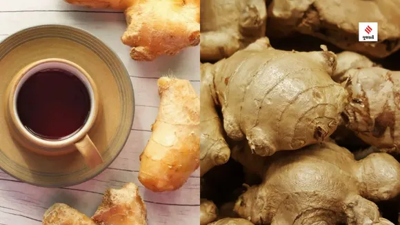 Ginger Tea Benefits For Scalp Health Haircare Tips Gujarati News