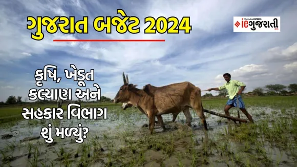 Gujarat Budget 2024, Gujarat Budget Live Updates, Budget 2024, ગુજરાત બજેટ 2024