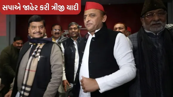 Shivpal Yadav, Akhilesh Yadav, Lok Sabha Elections
