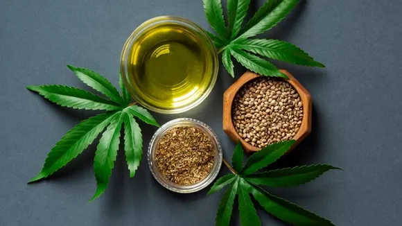 hemp seeds health benefits