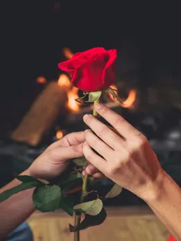  valentine day 2024 | happy rose day 2024 | valentine week 2024 |rose colours meaning | red rose | pink rose meaning | Yellow Rose Meaning | white rose meaning | Peach Rose Meaning
