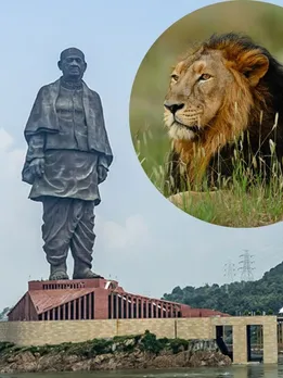 gujarat famous tourist places | gujarat tourist places | girnar | gir national park | polo forest | nada bet border | vacation