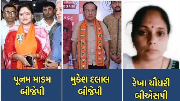 Gujarat lok sabha election richest candidate | લોકસભા ચૂંટણી રોડપતિ ઉમેદવારો