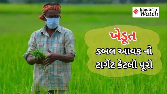 Lok Sabha Election 2024 And Farmers Income Doubled Issue