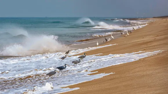 Gujarat beaches | Gujarat summer vacation places | gujarat picnic place | sumeer vacation plan 