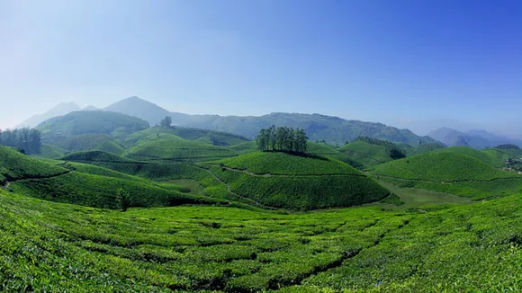kerala tourism | kerala munnar summer vacation places | kerala munnar hill station | kerala munnar best tourist places