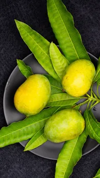 fresh mango buying guide