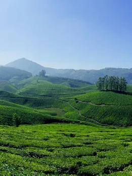 kerala tourism | kerala munnar summer vacation places | kerala munnar hill station | kerala munnar best tourist places
