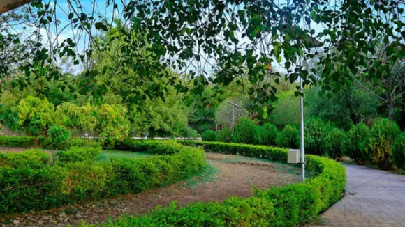 Botanical Garden