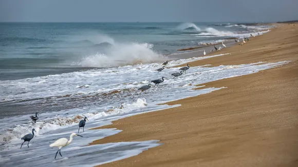 Madhavpur Beach Photo