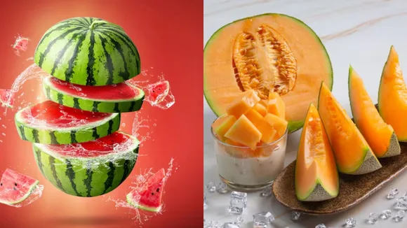 Watermelon And Muskmelon