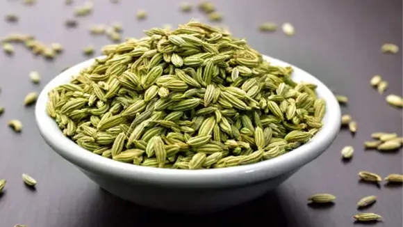fennel seeds drink for Heat stroke