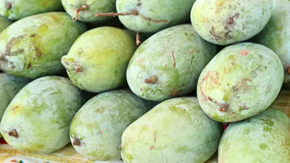 Summer Recipe | Jagrrey and Mango Juice Recipe | Summer Recipe Gujarati | Summer Drink Recipe 