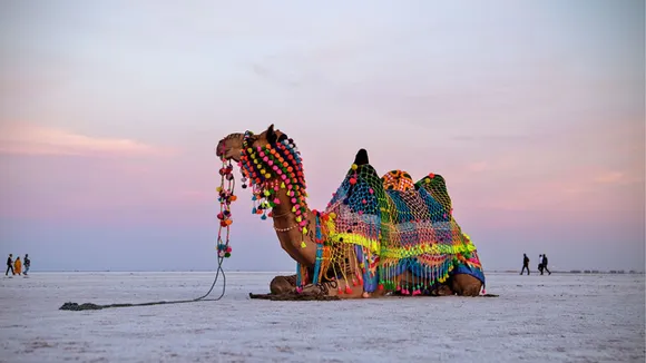 kutch desert