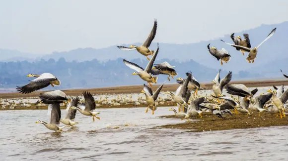 Dharamshala Tour Plans: ધર્મશાળા હિમાચલ પ્રદેશનું હીલ સ્ટેશન, ઉનાળામાં ફરવા માટે શ્રેષ્ઠ સ્થળ | dharamshala famous tourist places himachal pradesh hill station as