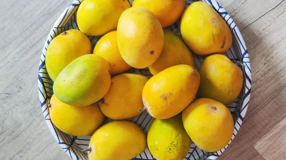 mango should be socked in water