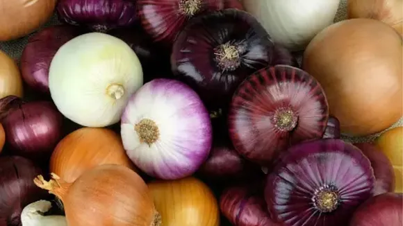 onion for Heat stroke