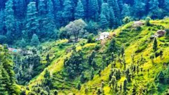 Summer Vacation Best Travel Places | Summer Vacation Best Places News Gujarati | Summer Vacation | Kovalam Beach | Ranikhet | Khurg | Sikkim