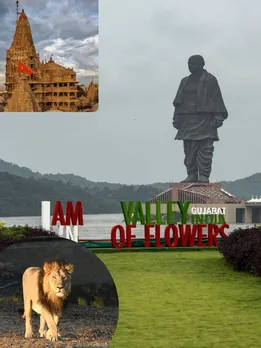 top 10 famous places in Gujarat | polo forest | Saputara | Dwarkadhish Temple | Shivrajpur Beach | Gir National Park | Somnath Temple | statue of unity | mount abu | Rann Utsav | Nada Bet Seema Darshan | summer vacation destination